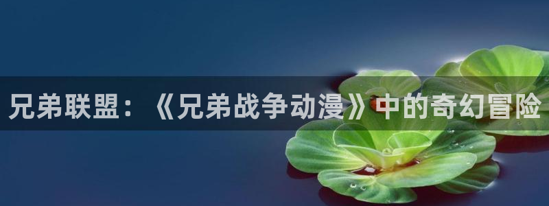 fun动漫：兄弟联盟：《兄弟战争动漫》中的奇幻冒险