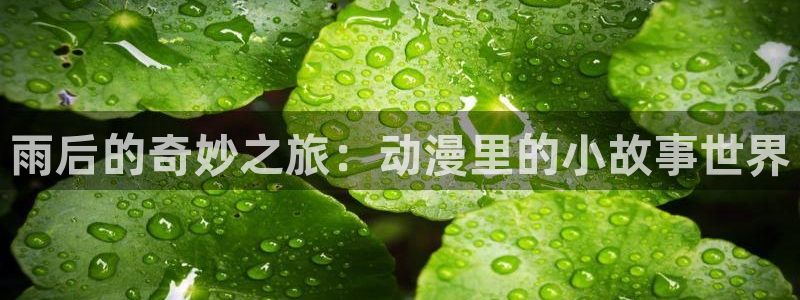 omofun动漫怎么下载