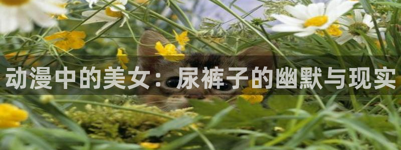 omofun动漫网站入口：动漫中的美女：尿裤子的幽默与现实